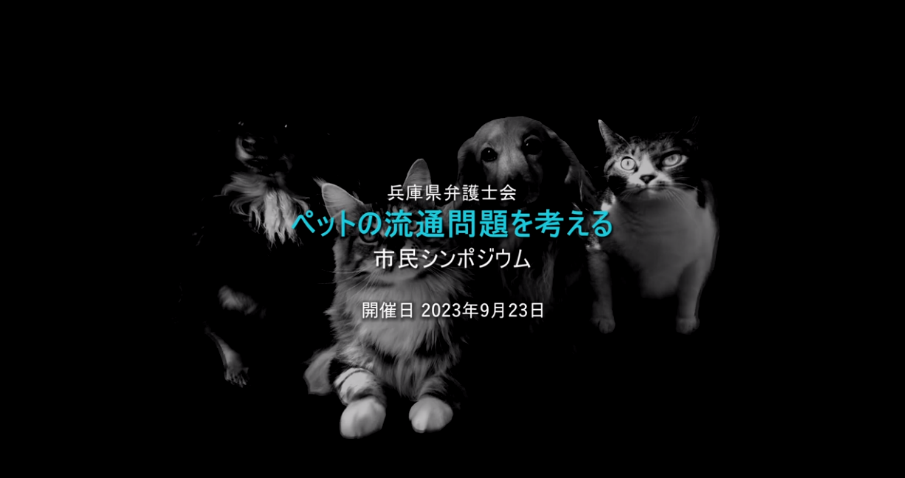【市民シンポジウム「ペットの流通問題を考える」本編/兵庫県弁護士会】をYouTube公式チャンネルへアップしました